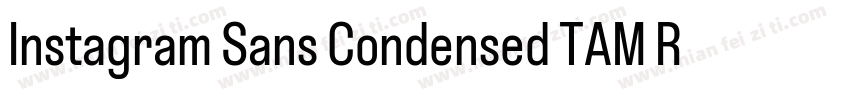 Instagram Sans Condensed TAM Regula字体转换